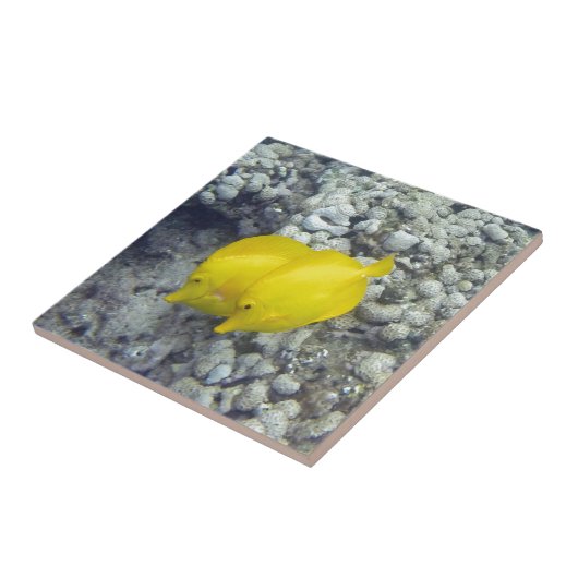 Carreau Le Poisson Tang Jaune (Côté)