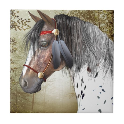 Carreau Le poney indien (Devant)