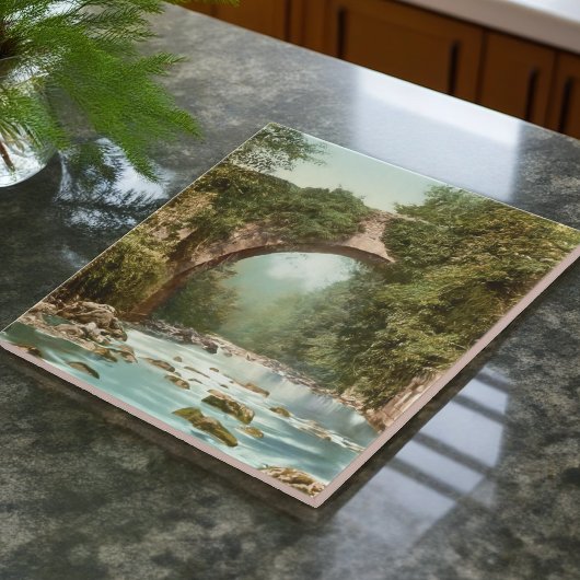 Carreau Le Pont Dargle En Irlande