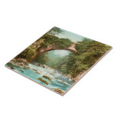 Carreau Le Pont Dargle En Irlande (Côté)