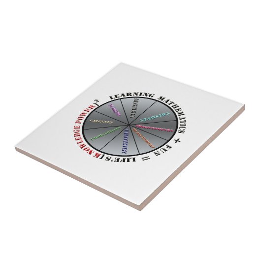 Carreau Le pouvoir des mathématiques (Côté)