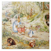 Carreau Le quartier de Peter Rabbit par Beatrix Potter (Devant)