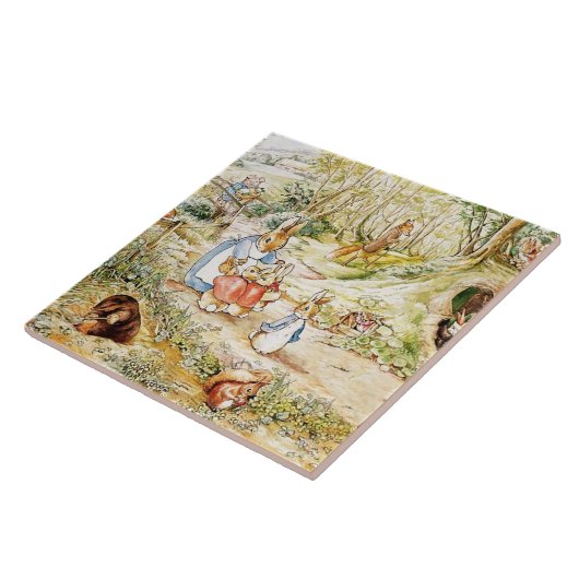 Carreau Le quartier de Peter Rabbit par Beatrix Potter (Côté)