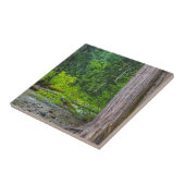 Carreau Le quartier Pittoresque des cèdres de Ross Creek (Côté)