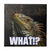 Carreau Le Quoi ! ? Iguana (Devant)