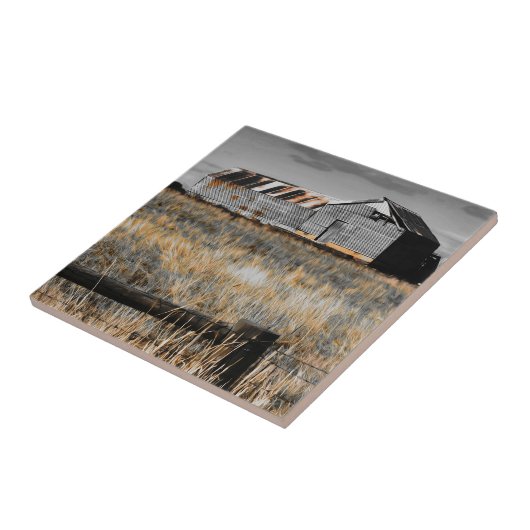 Carreau Le refuge d'hier (Côté)