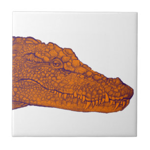CARREAU LE REGARD D'ALLIGATORS