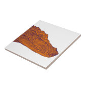 CARREAU LE REGARD D'ALLIGATORS (Côté)