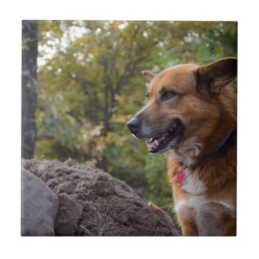 Carreau Le regard de la fidélité (Devant)