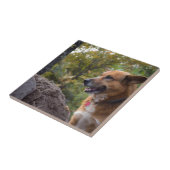 Carreau Le regard de la fidélité (Côté)