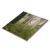 Carreau Le Rhododendron fleuri parmi les séquoias de la cô (Côté)