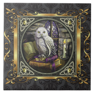 Carreau Le rituel médiéval en pierre de sorcellerie de