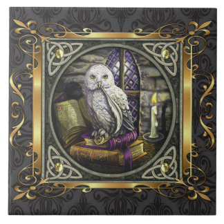 Carreau Le rituel médiéval en pierre de sorcellerie de