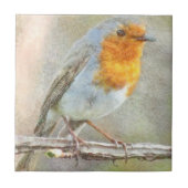 Carreau Le Robin Est Une Aquarelle Gabriel (Devant)