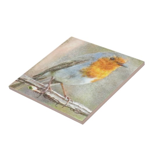 Carreau Le Robin Est Une Aquarelle Gabriel (Côté)