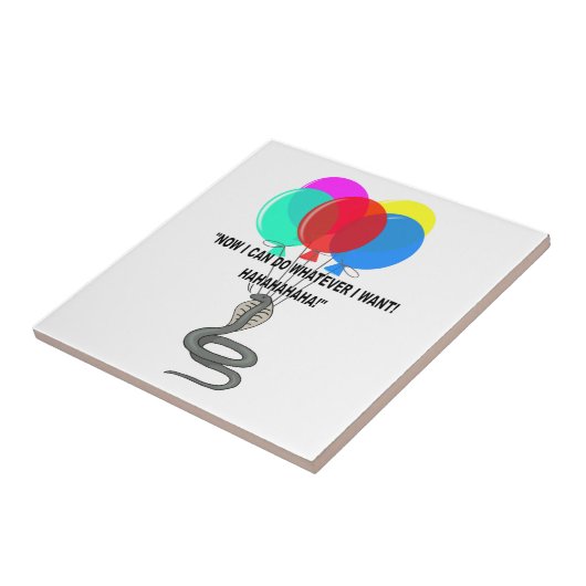 Carreau Le serpent volant (Côté)