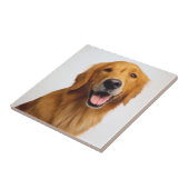 Carreau Le sourire d'or (Côté)