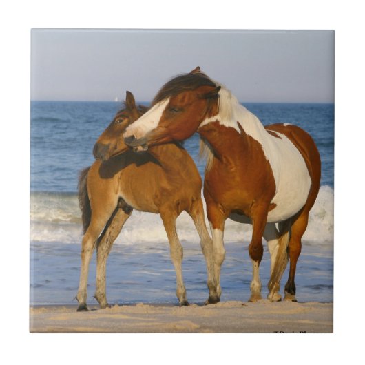 Carreau Le Sunset Beach Horse (Devant)
