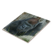 Carreau Le temps froid de Gorilla Lope (Côté)