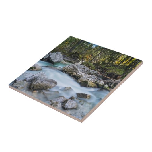 Carreau Le torrent Ramsauer Ache (Côté)