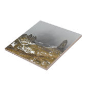 Carreau Le vieil homme de Storr (Côté)