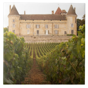 Carreau Le vieux château médiéval de Rully sur la Côte