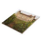 Carreau Le vieux château médiéval de Rully sur la Côte (Côté)