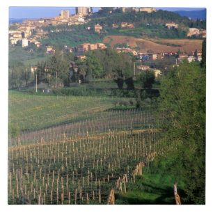 Carreau Le village de San Gimignano est situé dans les col