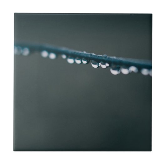 Carreau L'eau chute sur fil (Devant)