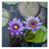 CARREAU L'EAU TROPICALE PURPLE EST INSTALLÉE DANS LES LILY (Devant)