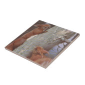 Carreau L'ÉCUREUIL (Sciurus vulgaris) (Côté)
