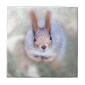 Carreau L'écureuil vous regarde du bas vers le haut (Devant)