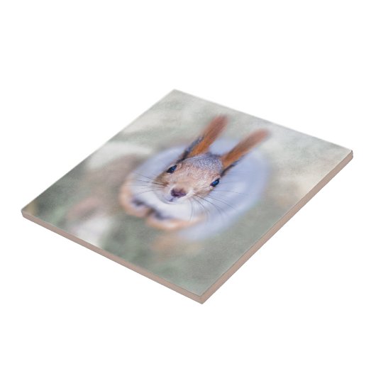 Carreau L'écureuil vous regarde du bas vers le haut (Côté)