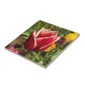 Carreau Leen Van Der Mark Tulip, Oregon (Côté)