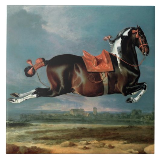 Carreau L'élevage du Cheval Piebald "Cehero" (Devant)