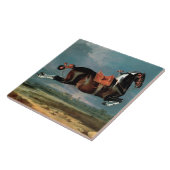 Carreau L'élevage du Cheval Piebald "Cehero" (Côté)