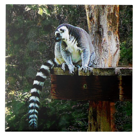 Carreau Lemur à anneau (Devant)