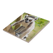 Carreau Lemur de bébé (Côté)