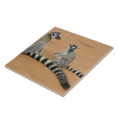 Carreau Lémurs à queue annelée, (Lemur catta), Berenty (Côté)