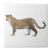 Carreau Leopard (Devant)