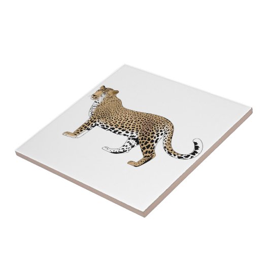 Carreau Leopard (Côté)