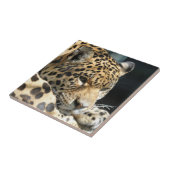 Carreau Leopard 004 (Côté)