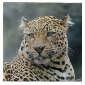 Carreau Leopard 006 (Devant)
