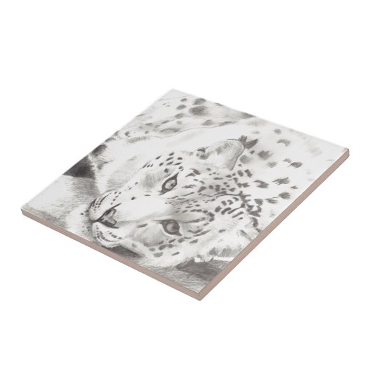 Carreau Léopard des neiges (Côté)