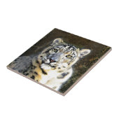 Carreau Léopard des neiges (Côté)