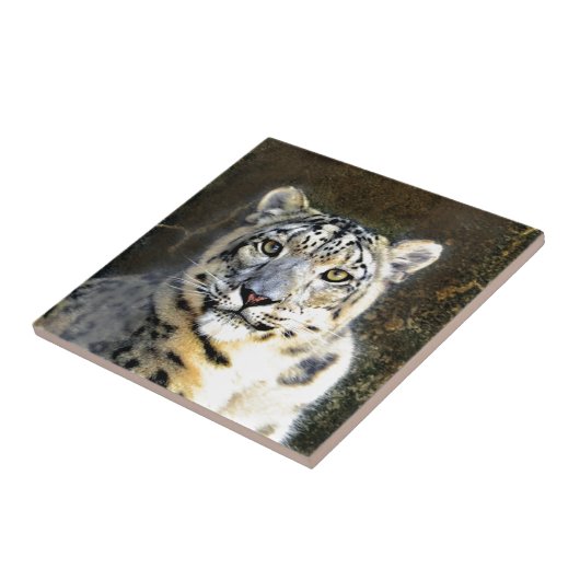 Carreau Léopard des neiges (Côté)