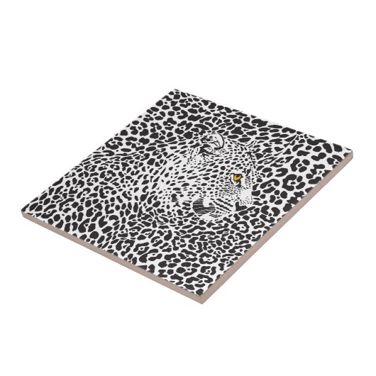 Carreau Léopard Noir Dans Les Spots (Côté)