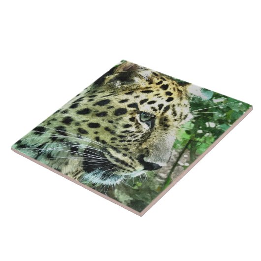 CARREAU LEOPARDS (Côté)