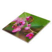 Carreau Les Abeilles Sur Les Fleurs De Vins De Corail (Côté)