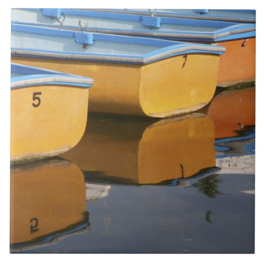 Carreau Les bateaux de rangée Henley-on-Thames sur la Tami (Devant)